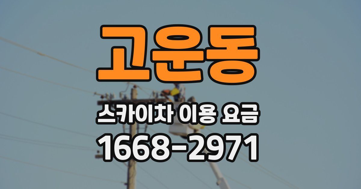 고운동 스카이차 이용 요금