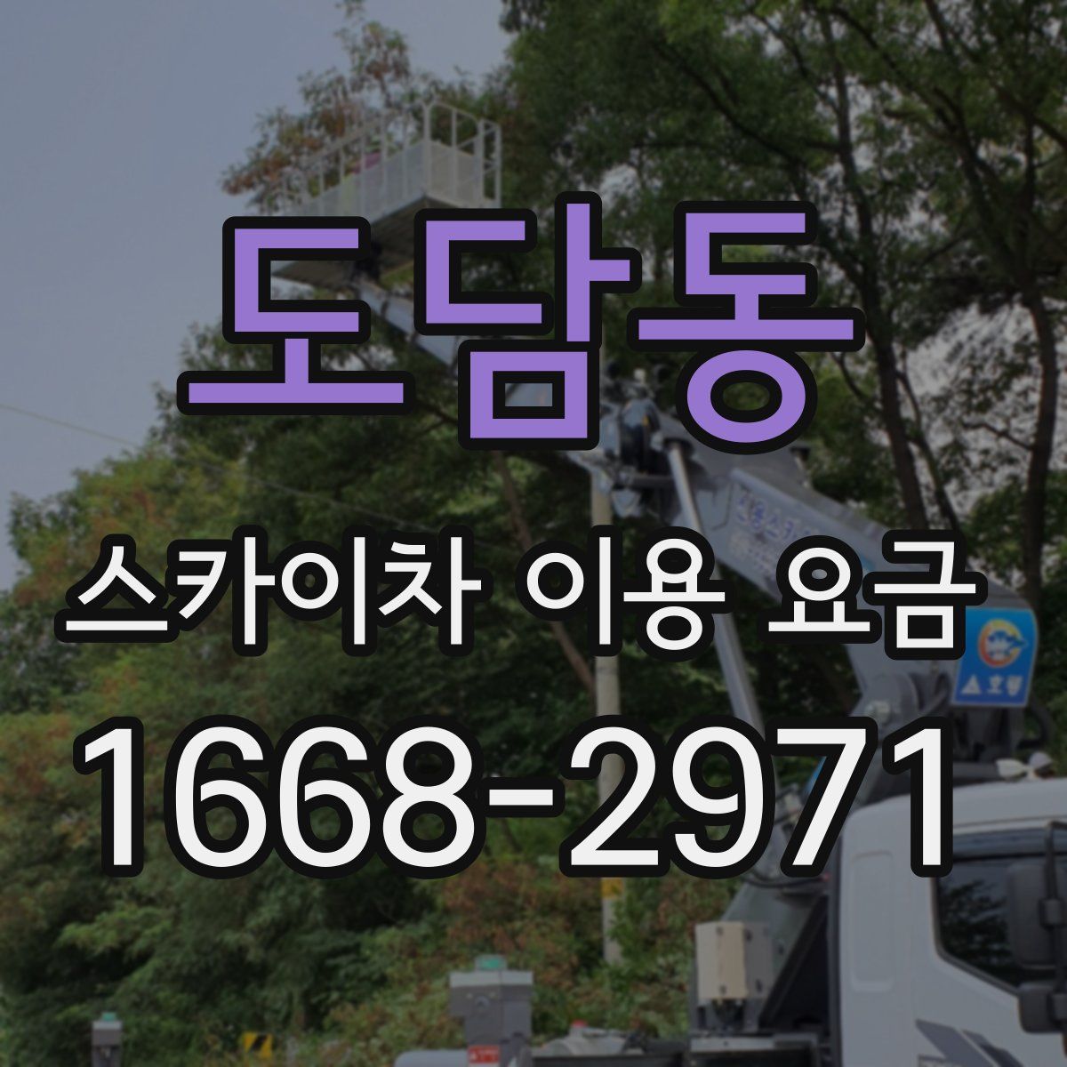 도담동 스카이차 이용 요금