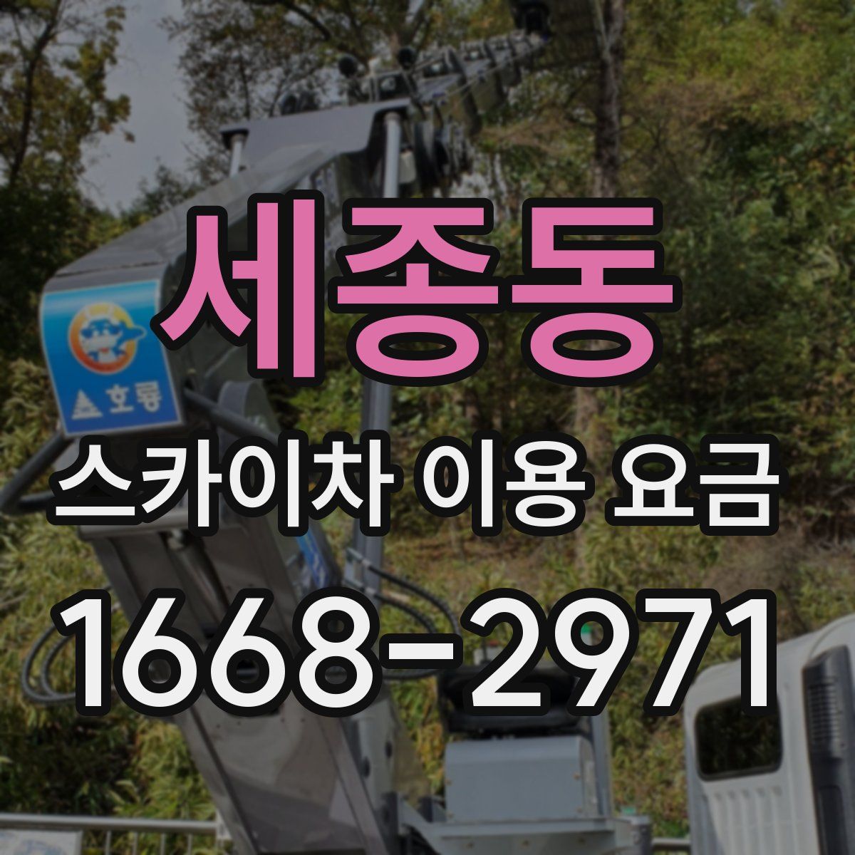 세종동 스카이차 이용 요금