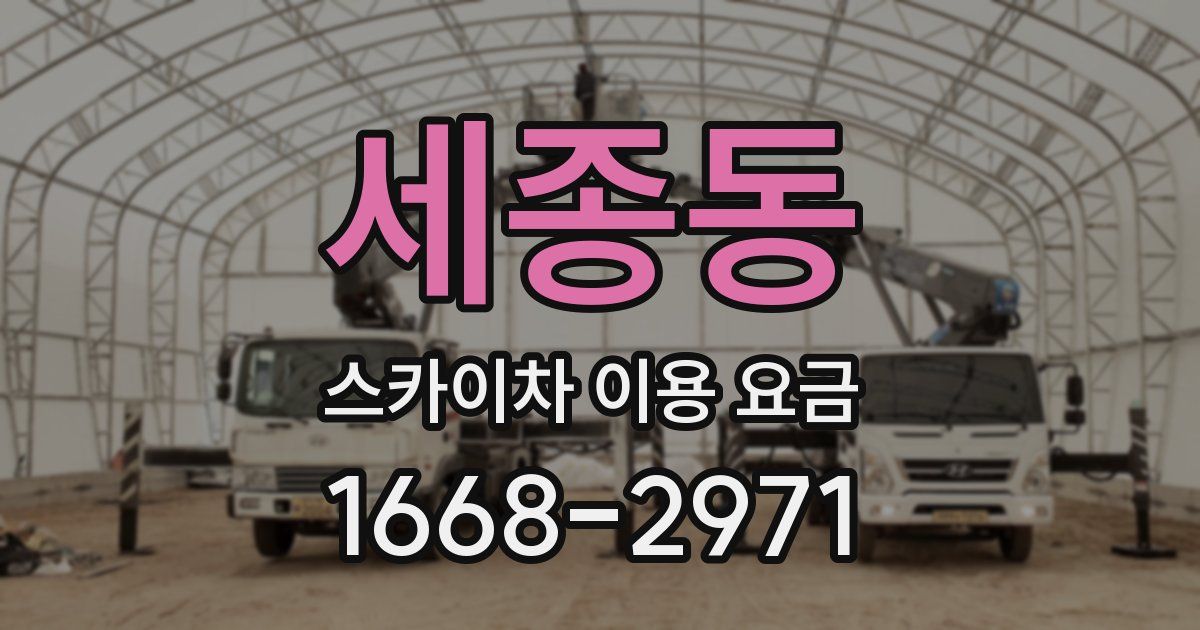 세종동 스카이차 이용 요금