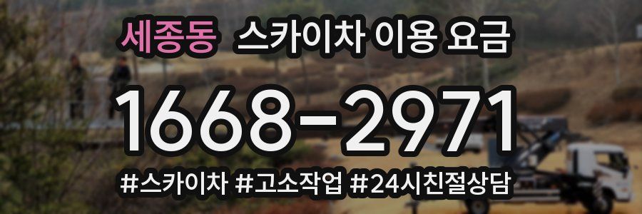세종동 스카이차 이용 요금