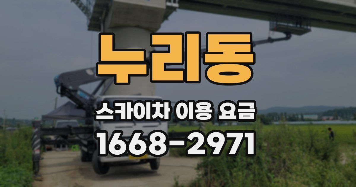 누리동 스카이차 이용 요금