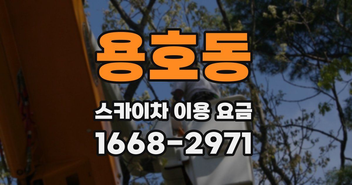 용호동 스카이차 이용 요금