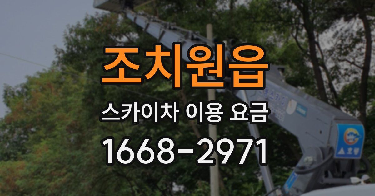 조치원읍 스카이차 이용 요금