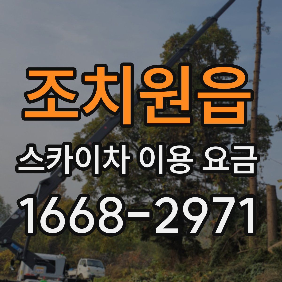 조치원읍 스카이차 이용 요금