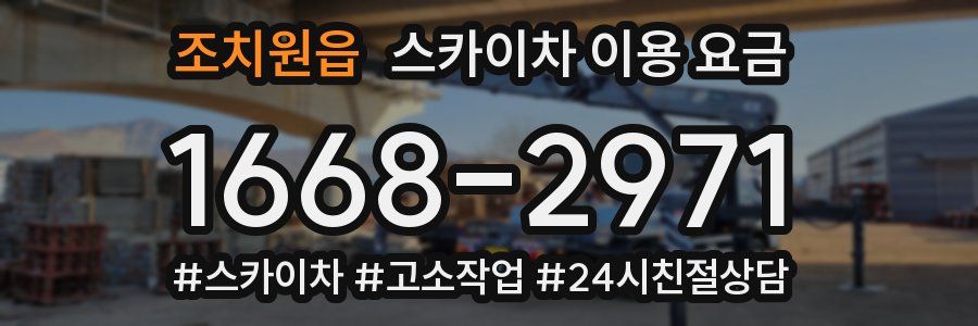 조치원읍 스카이차 이용 요금
