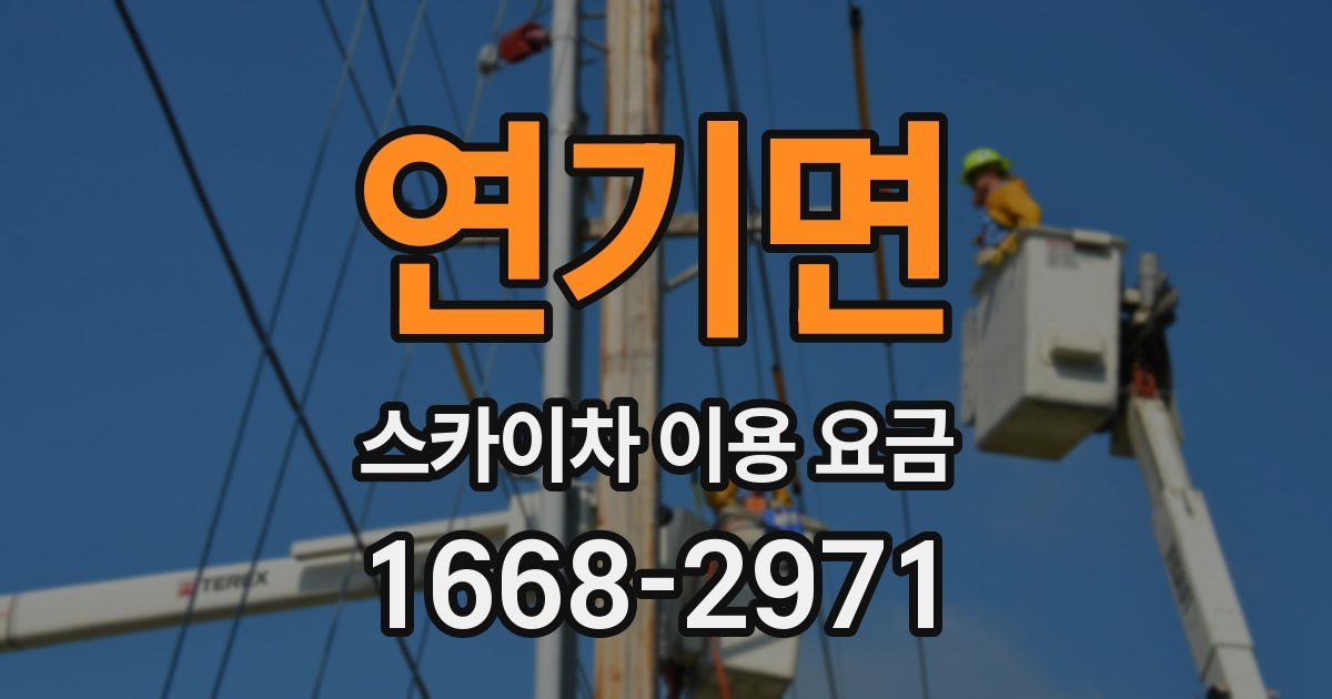 연기면 스카이차 이용 요금