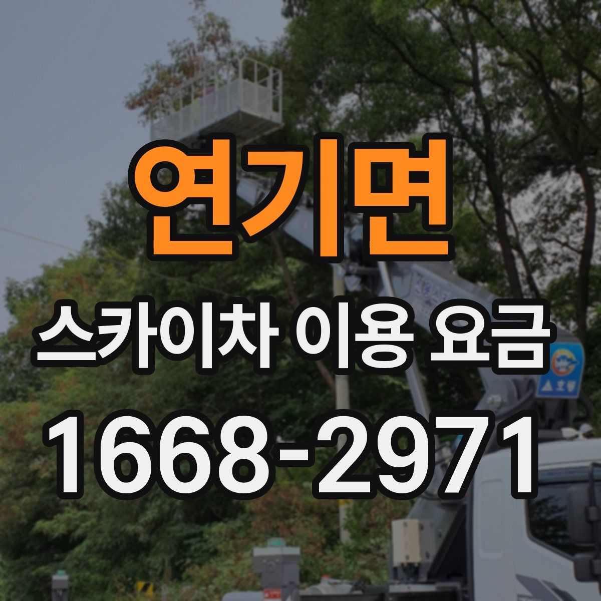연기면 스카이차 이용 요금