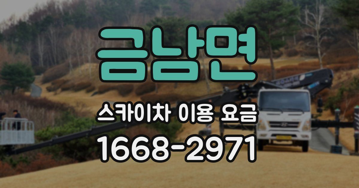 금남면 스카이차 이용 요금
