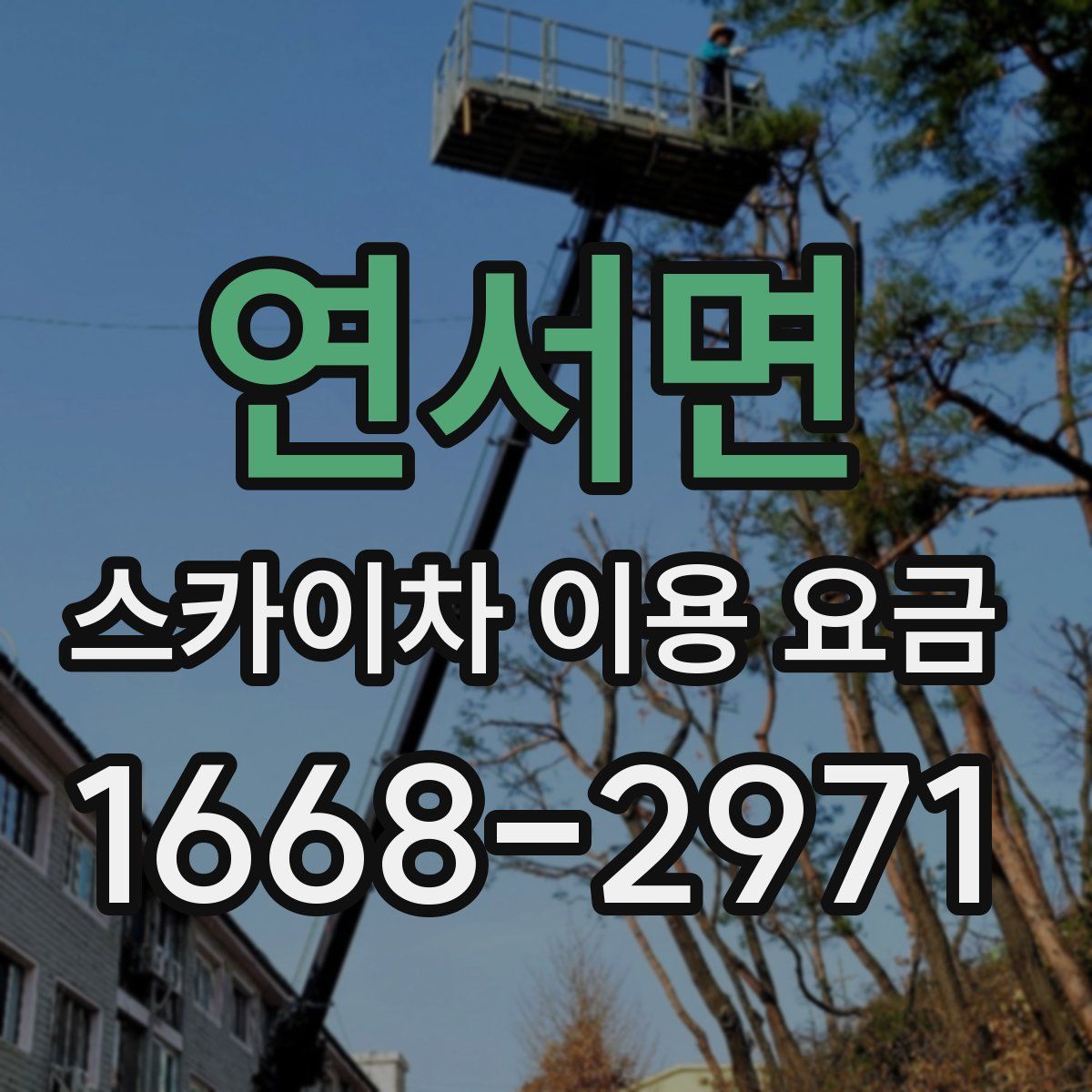 연서면 스카이차 이용 요금