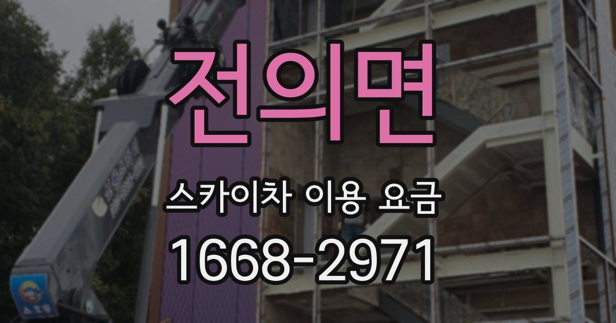전의면 스카이차 이용 요금