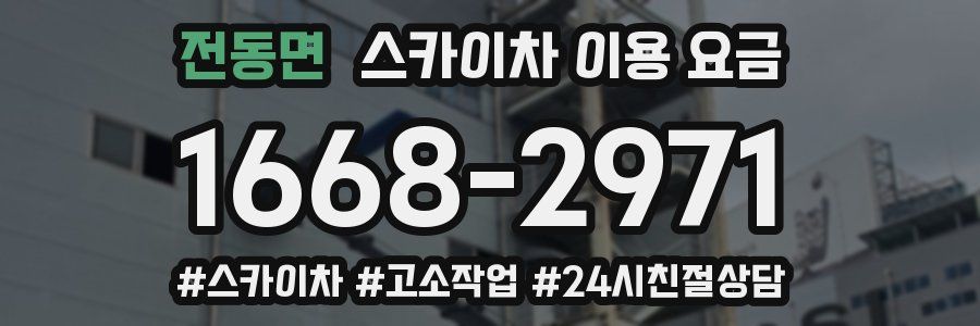 전동면 스카이차 이용 요금