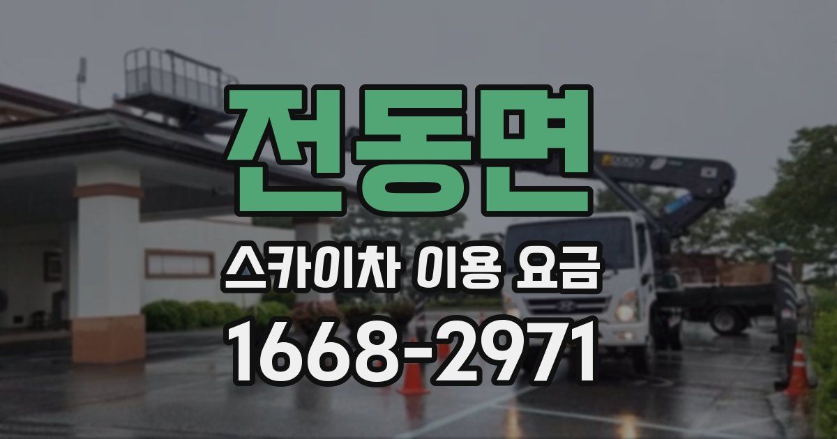 전동면 스카이차 이용 요금