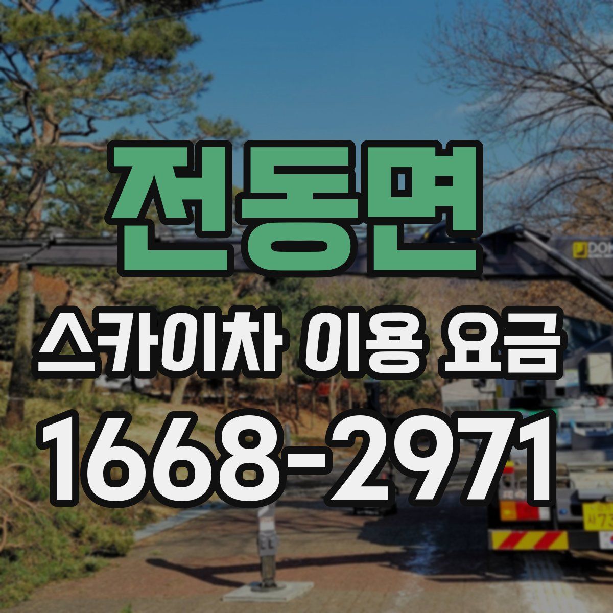 전동면 스카이차 이용 요금