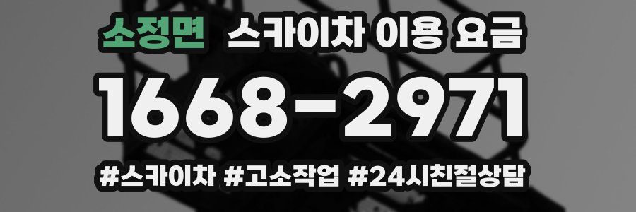 소정면 스카이차 이용 요금