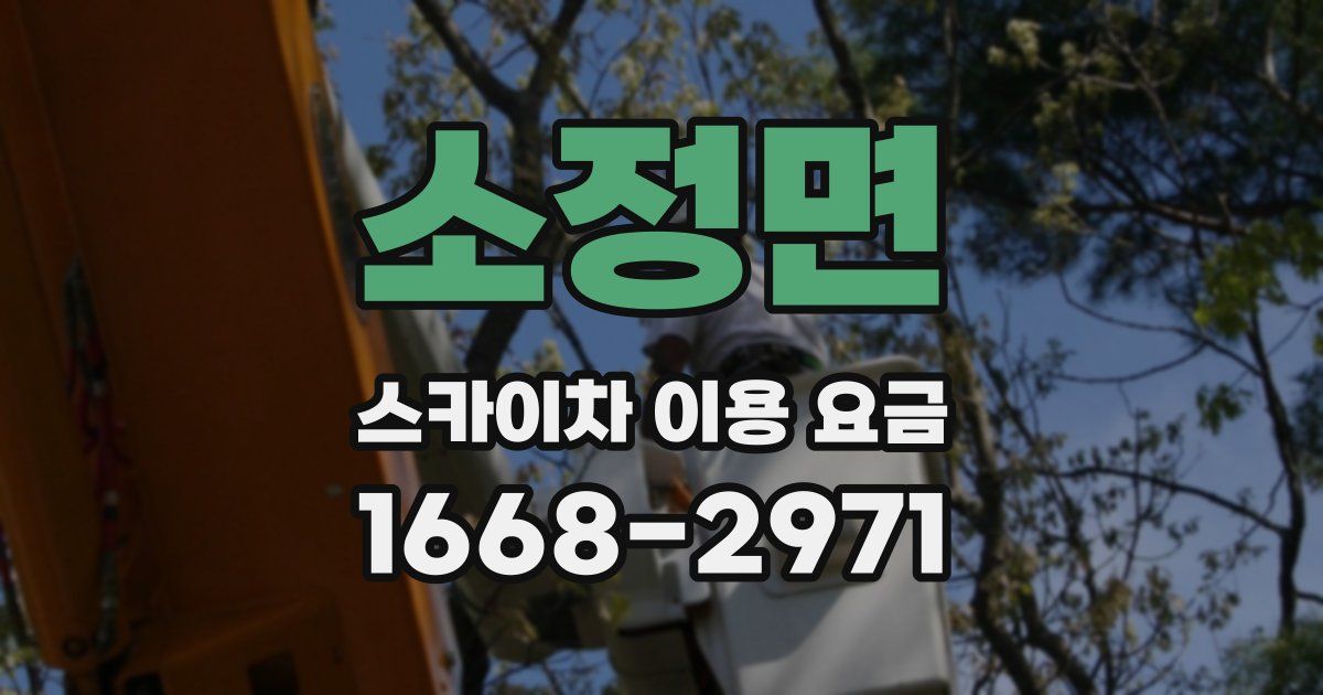 소정면 스카이차 이용 요금
