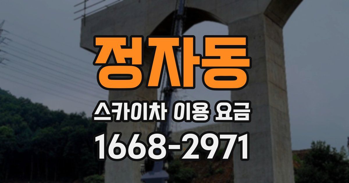 정자동 스카이차 이용 요금