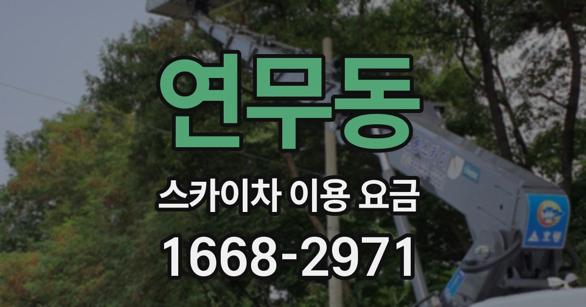 연무동 스카이차 이용 요금