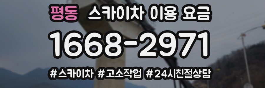 평동 스카이차 이용 요금