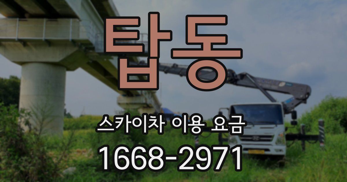 탑동 스카이차 이용 요금