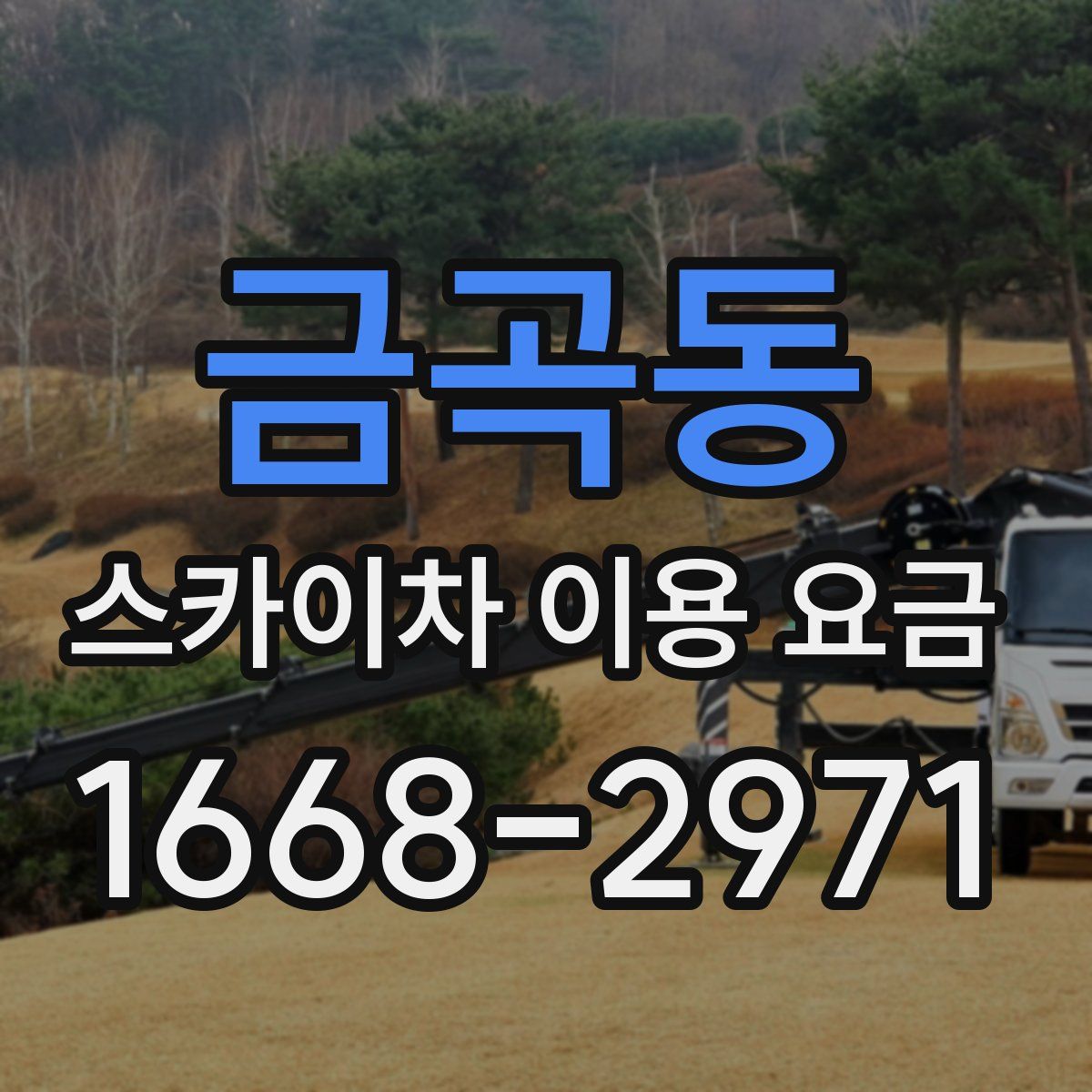 금곡동 스카이차 이용 요금