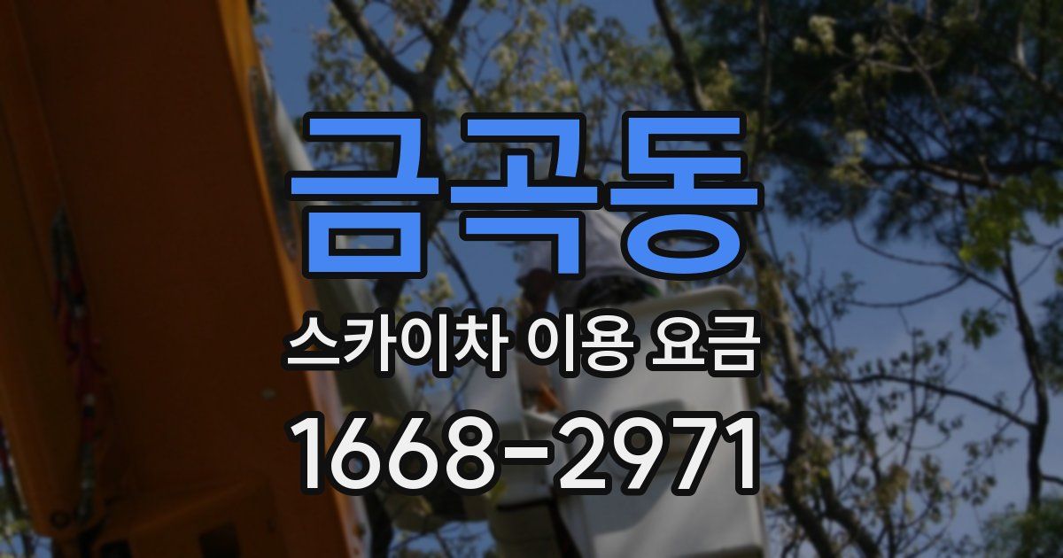 금곡동 스카이차 이용 요금