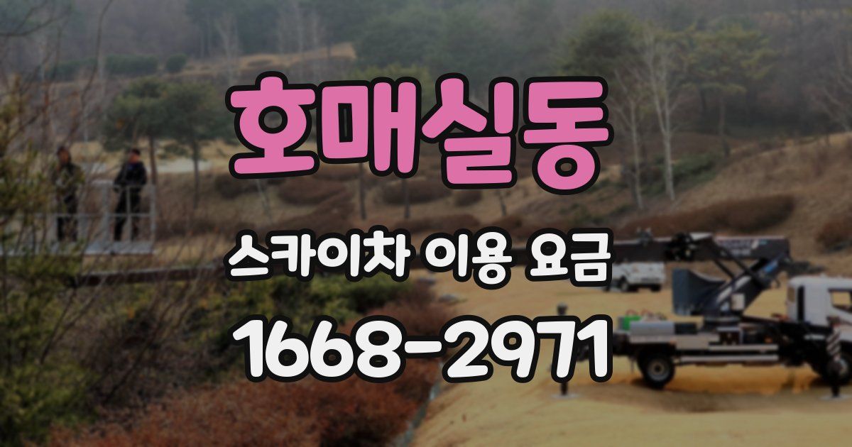 호매실동 스카이차 이용 요금