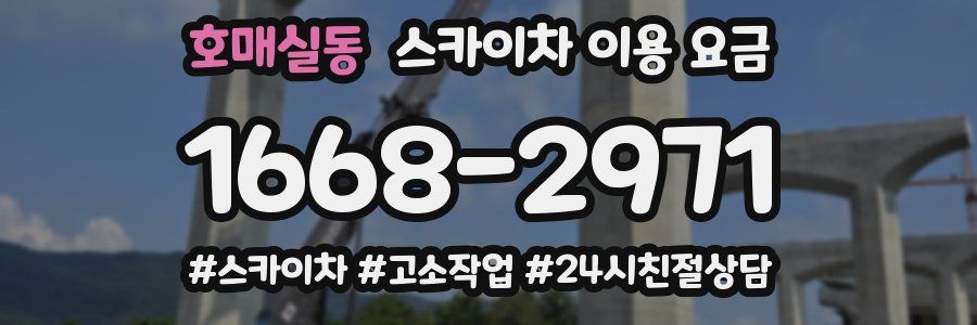 호매실동 스카이차 이용 요금