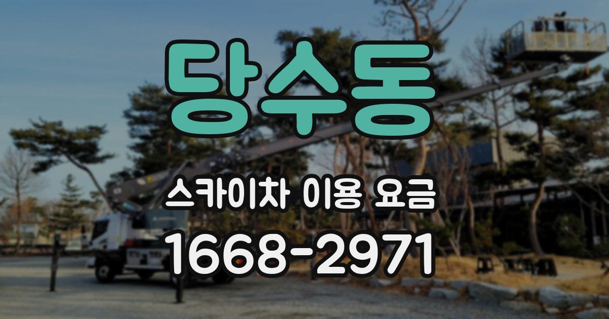 당수동 스카이차 이용 요금