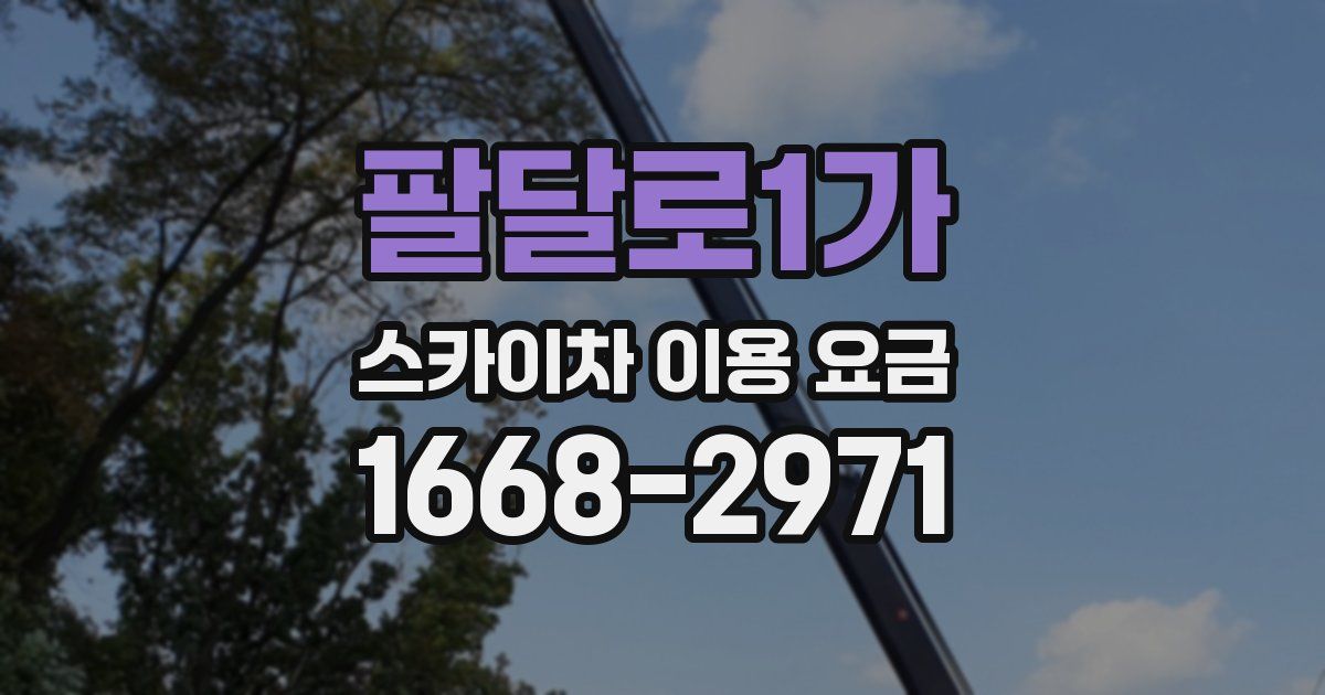 팔달로1가 스카이차 이용 요금