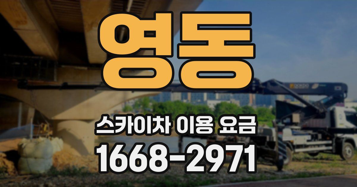영동 스카이차 이용 요금