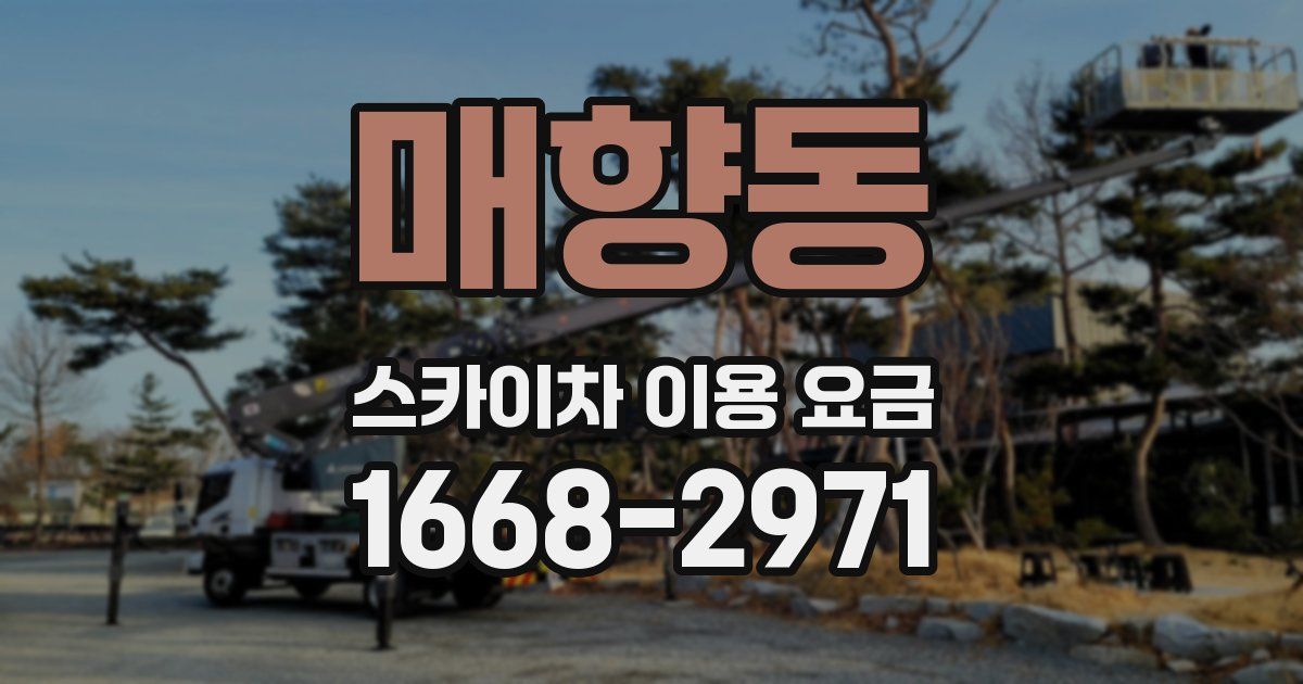 매향동 스카이차 이용 요금