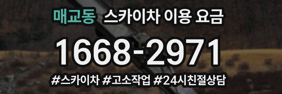 매교동 스카이차 이용 요금