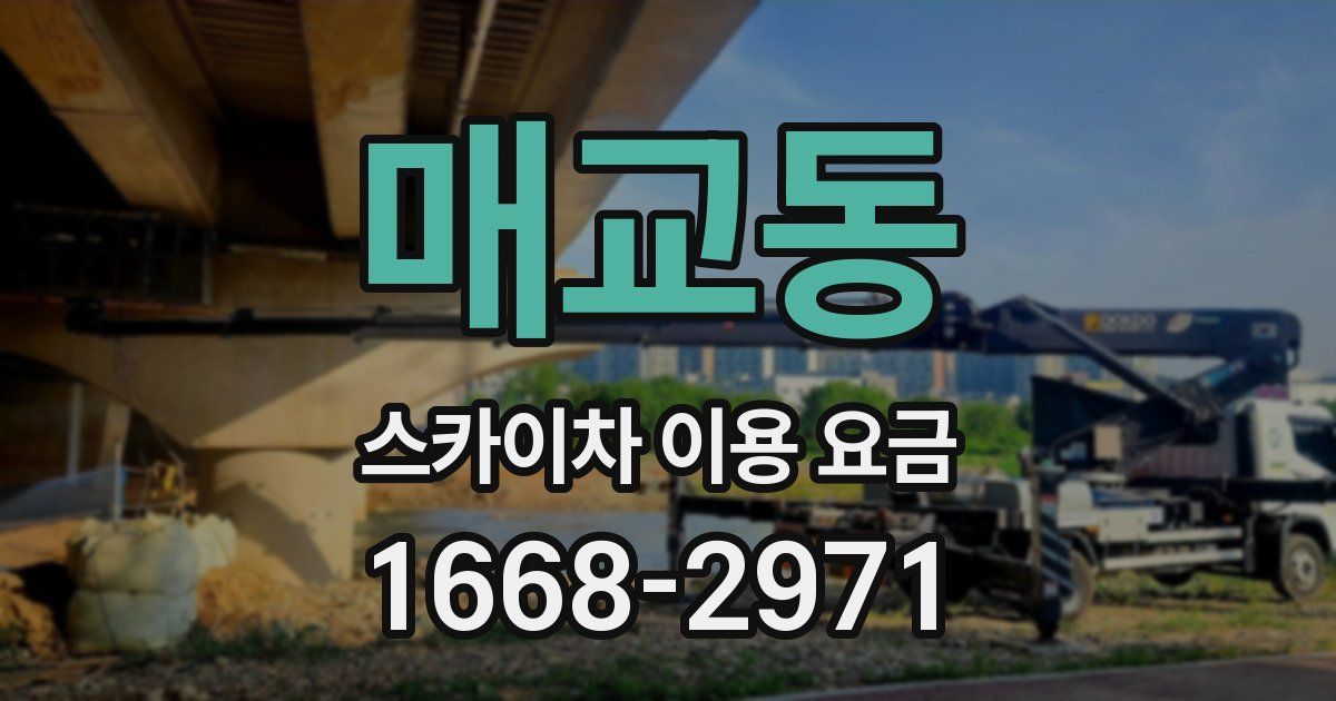 매교동 스카이차 이용 요금