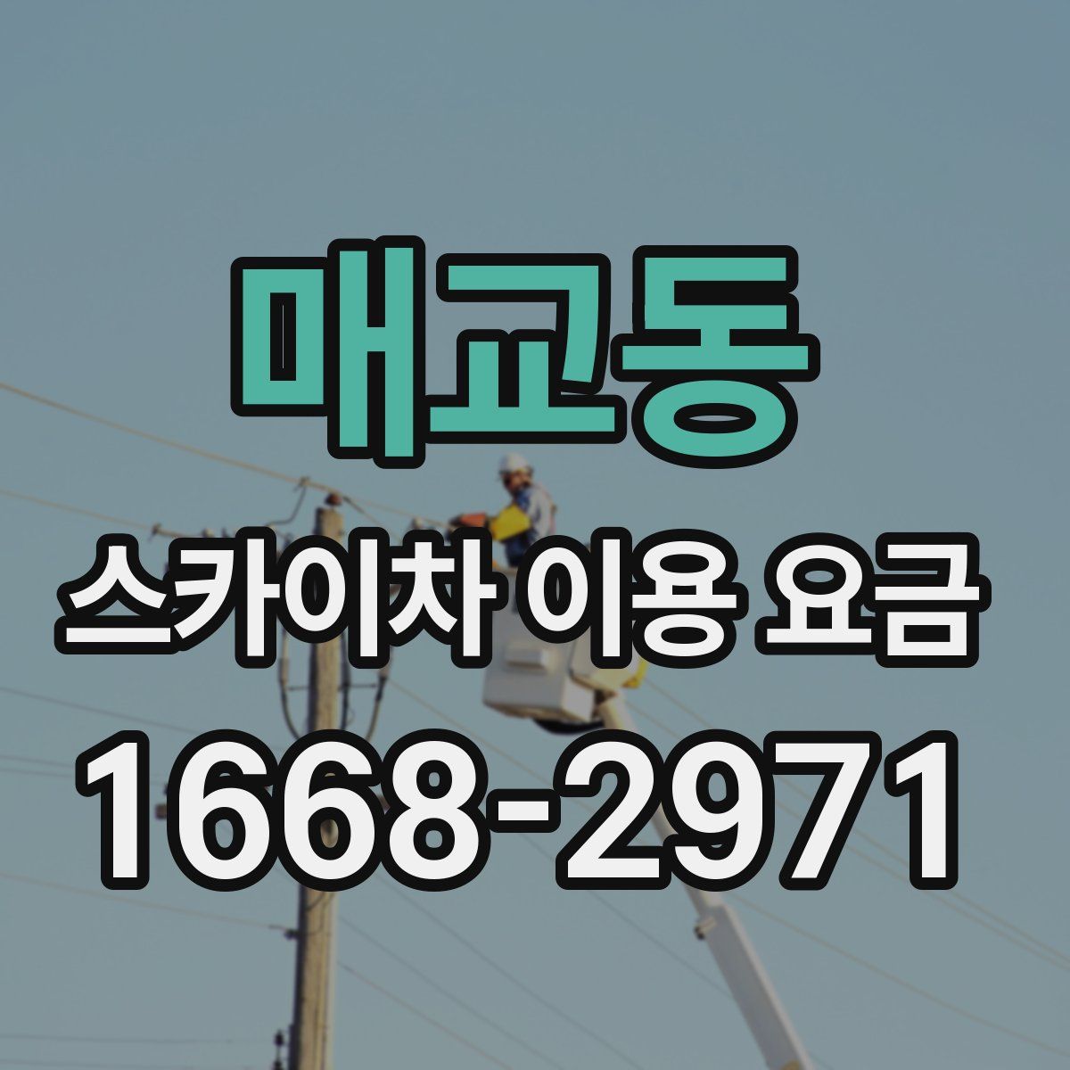 매교동 스카이차 이용 요금
