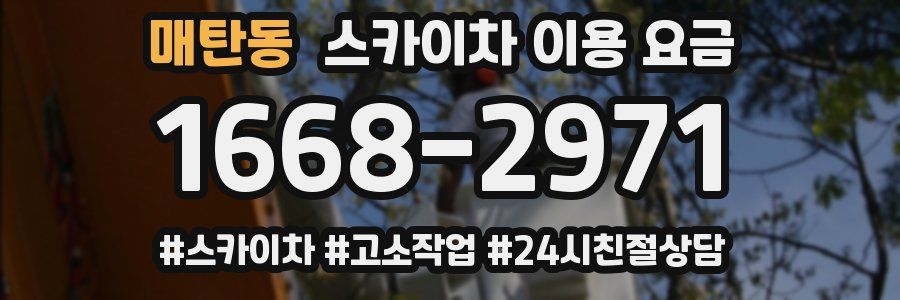 매탄동 스카이차 이용 요금