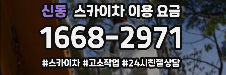 신동 스카이차 이용 요금