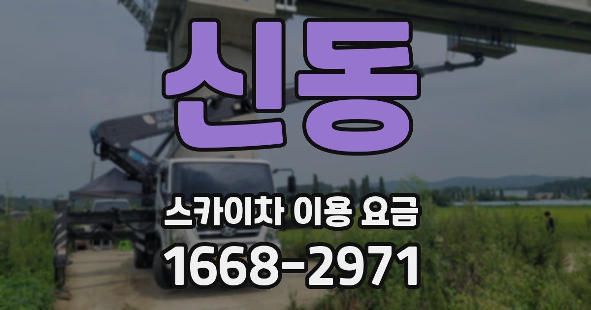 신동 스카이차 이용 요금