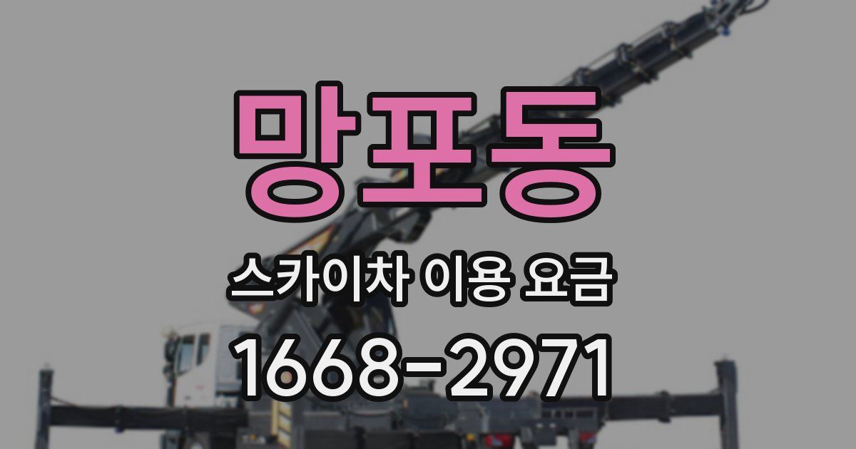 망포동 스카이차 이용 요금