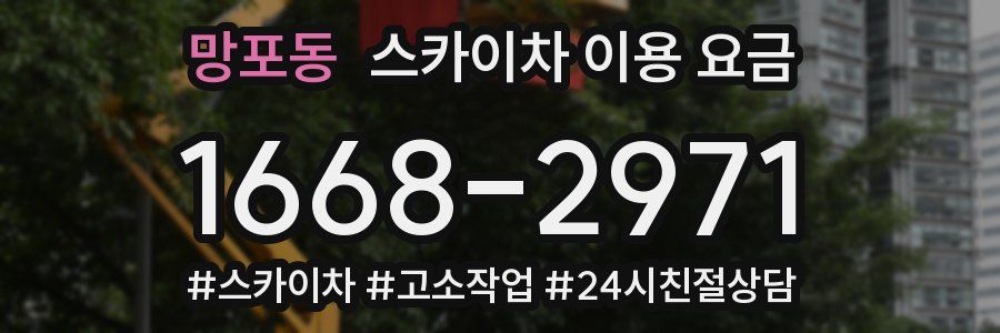 망포동 스카이차 이용 요금