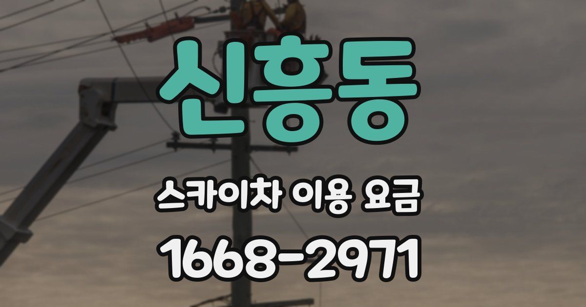 신흥동 스카이차 이용 요금