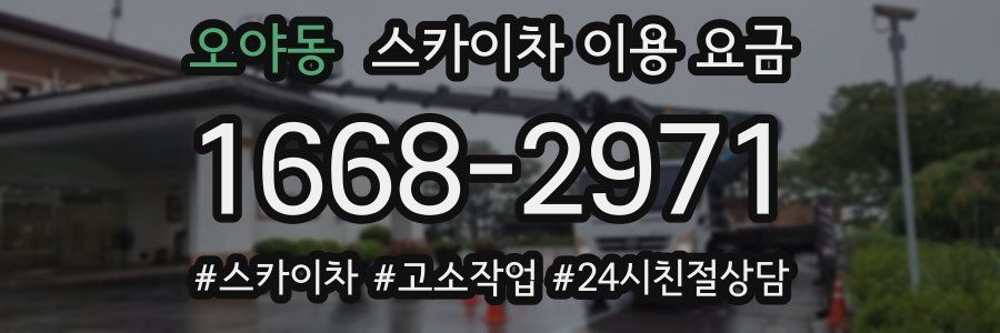 오야동 스카이차 이용 요금
