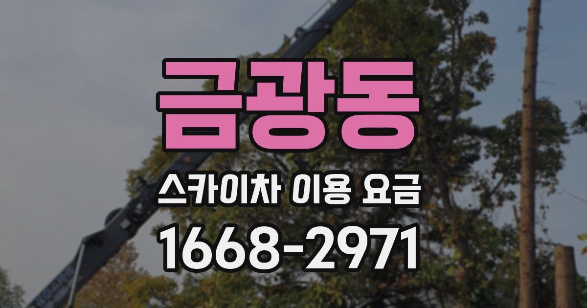 금광동 스카이차 이용 요금