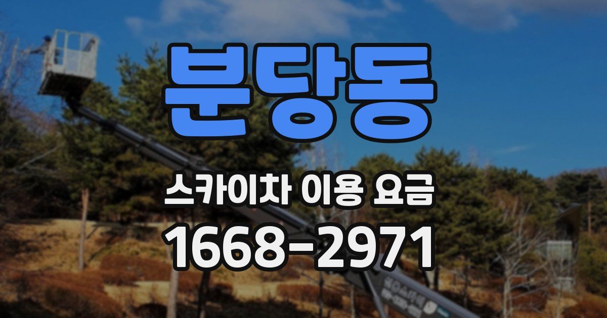 분당동 스카이차 이용 요금