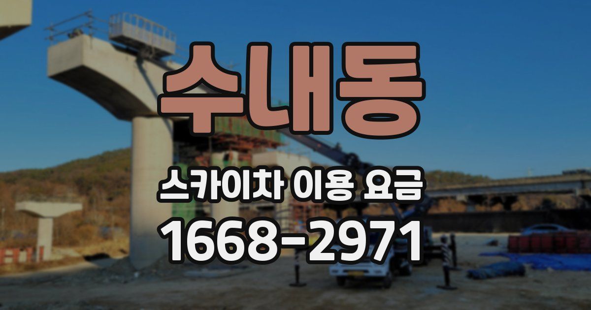 수내동 스카이차 이용 요금