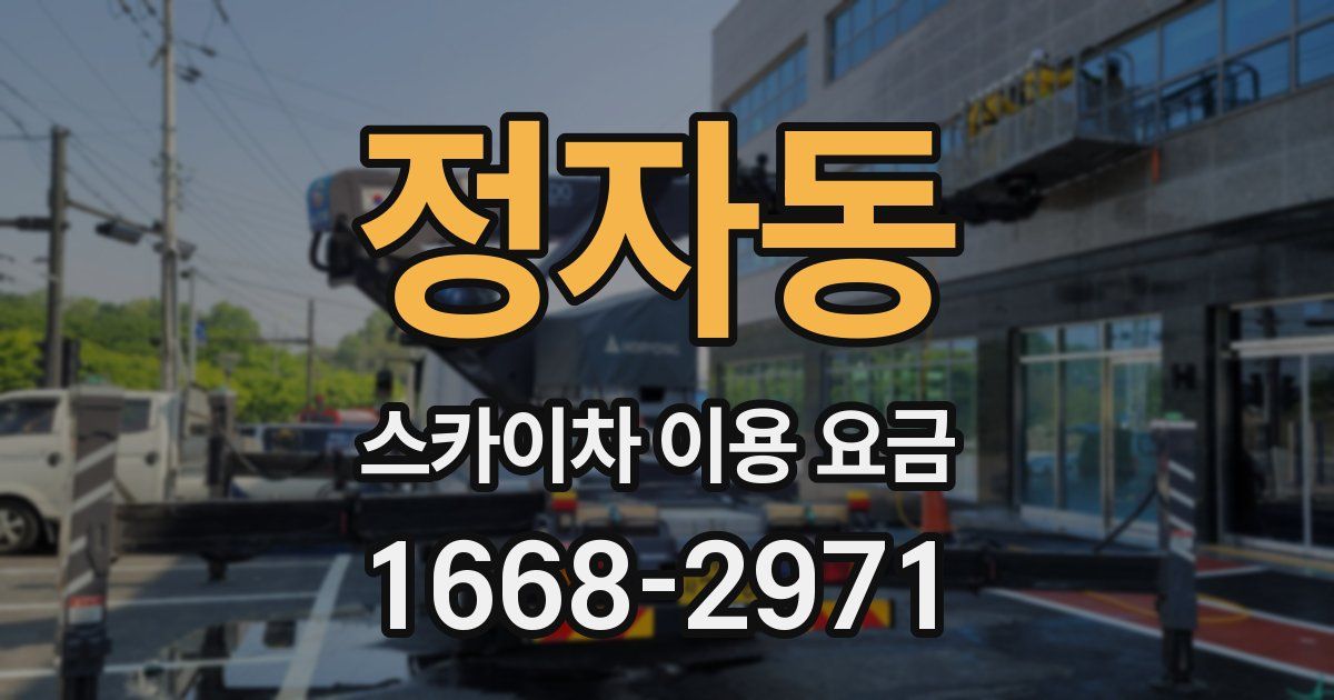 정자동 스카이차 이용 요금