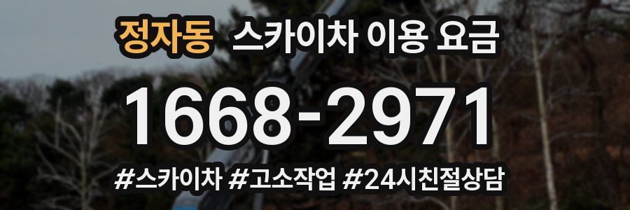 정자동 스카이차 이용 요금