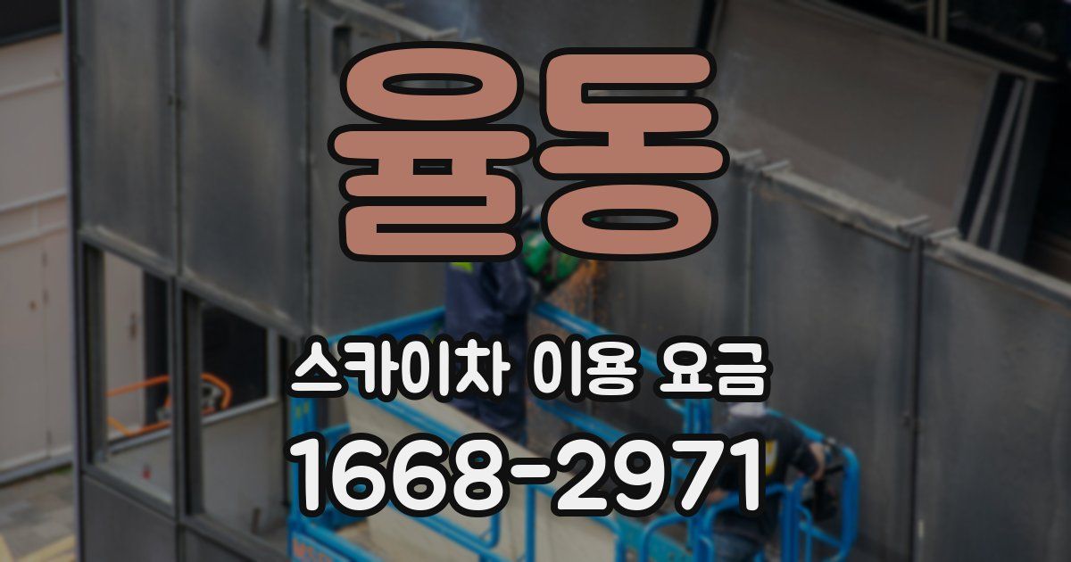 율동 스카이차 이용 요금