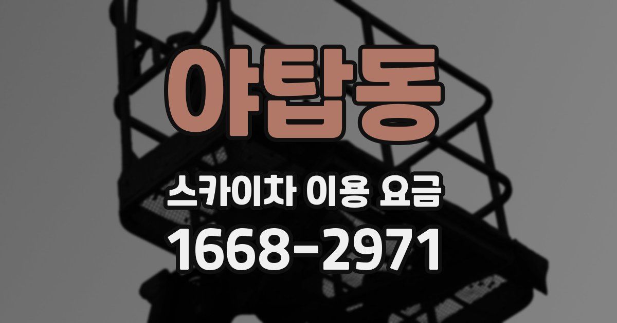 야탑동 스카이차 이용 요금