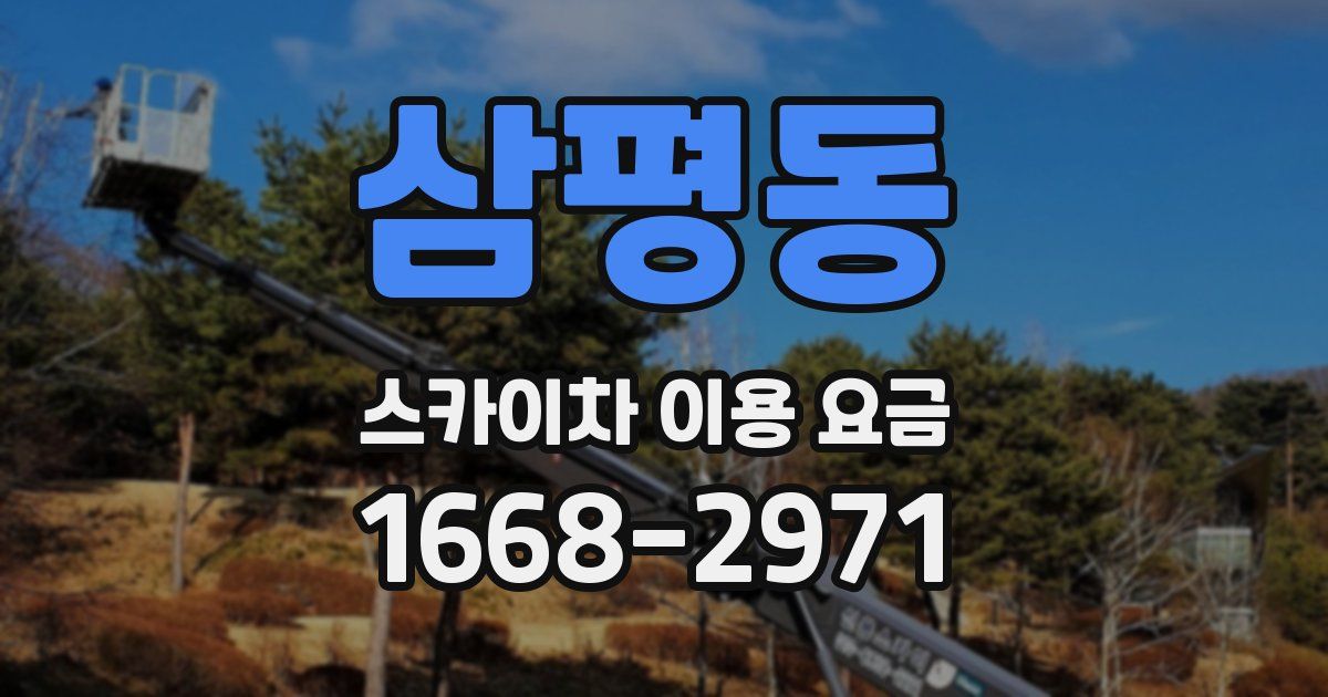 삼평동 스카이차 이용 요금
